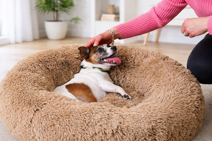 Hund liegt entspannt im Peaceful Pooch Hundebett