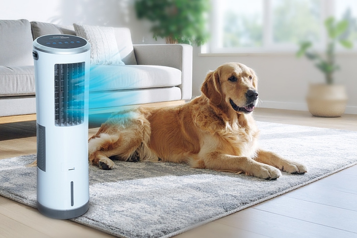 Hund liegt im Wohnzimmer vor dem InstaChill und genießt die kühle Brise