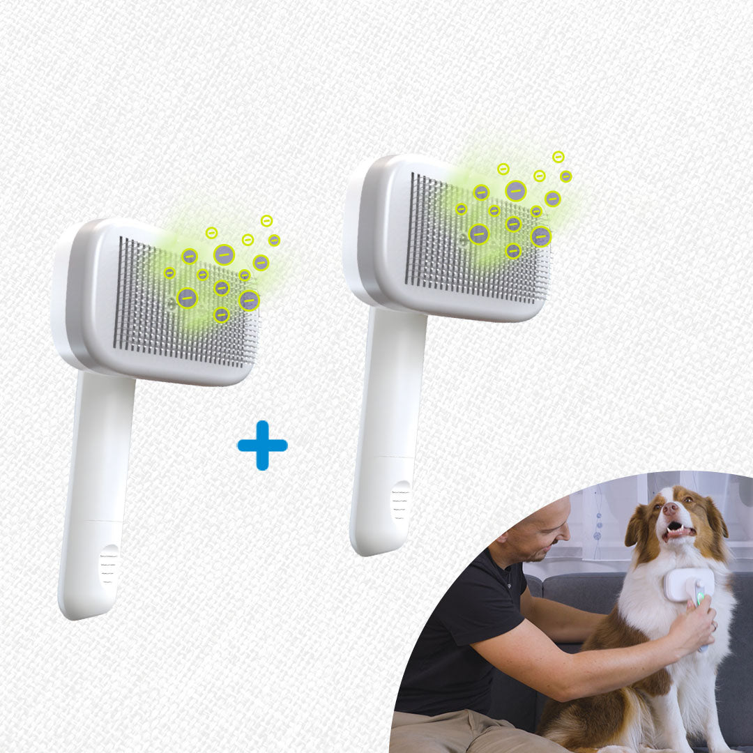 01_PiddiPet_IonBrush.jpg