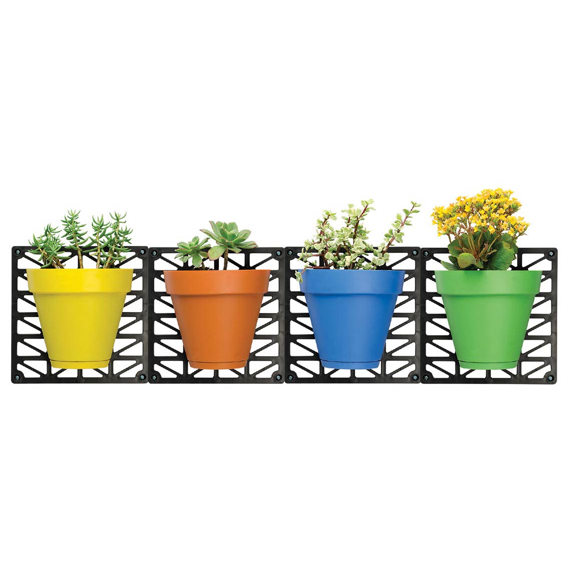 02_FarbigeBlumentoepfe_Horizontal.jpg