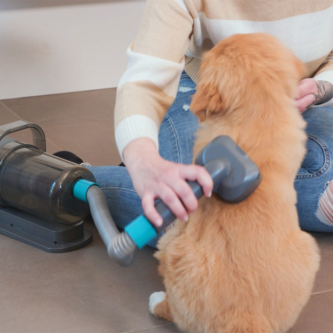 Eine Person sitzt auf dem Boden und bürstet einen Hund mit einer speziellen Staubsauger-Bürste, die lose Tierhaare direkt absaugt; der Staubsauger steht neben ihnen, während der Hund ruhig sitzen bleibt.