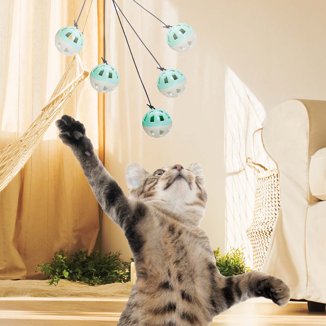 Mouse Bounce Katzenspielzeug