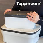 Die kompakte Bradsmart Brotdose von Tupperware ist perfekt zur Aufbewahrung und hält Brot länger frisch.