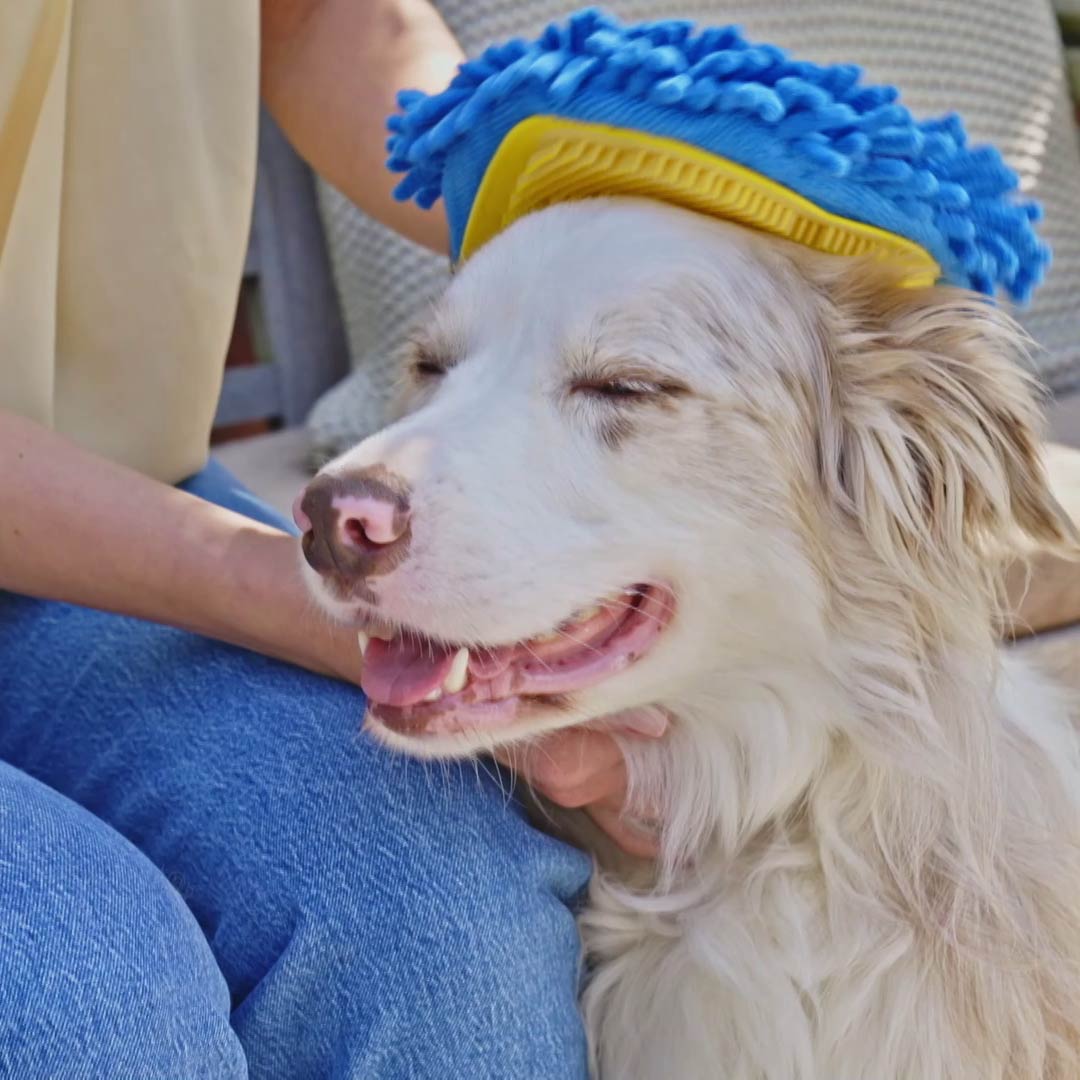 DoGlove Fellpflege-Handschuh – Mediashop