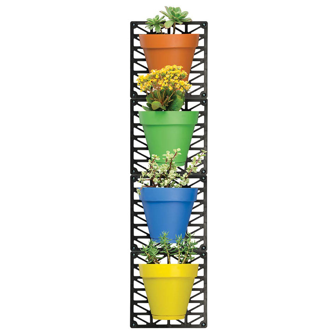 03_FarbigeBlumentoepfe_Vertikal.jpg