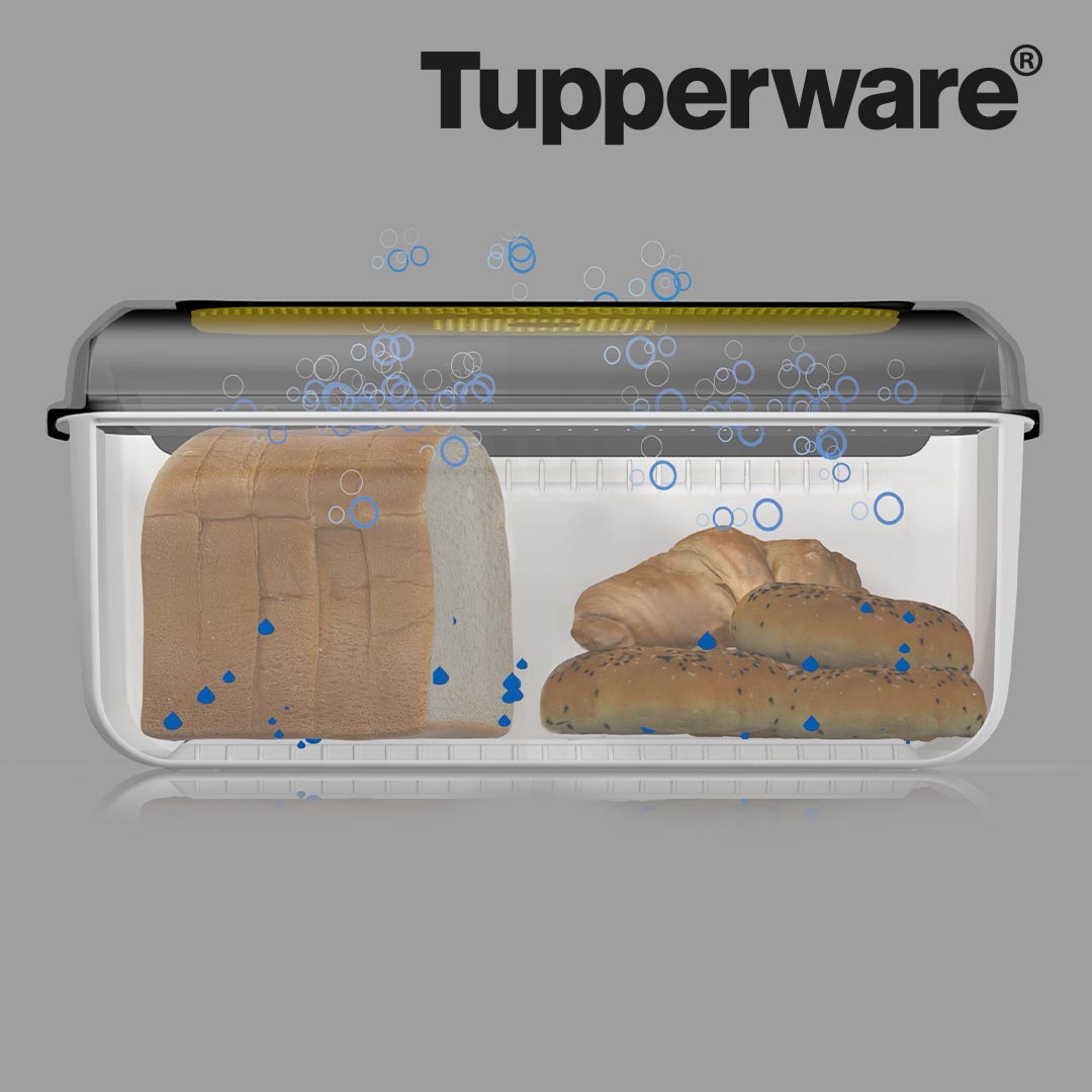 Tupperware BreadSmart Brotkasten inkl. praktischem Box-Trenner GRATIS – Mediashop