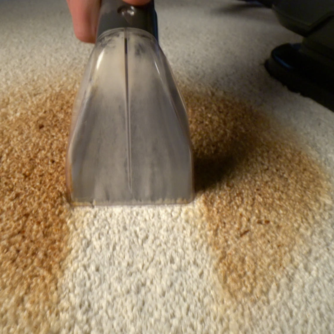 Livington Spot Blast saugt hartnäckige Flecken aus einem hellen Teppich gründlich heraus.