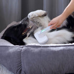 Ein Hund liegt entspannt im Körbchen und wird mit der PiddiPet IonBrush gebürstet.