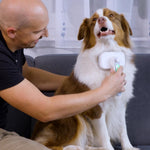 Ein Mann bürstet einen Hund mit der PiddiPet IonBrush auf dem Sofa.