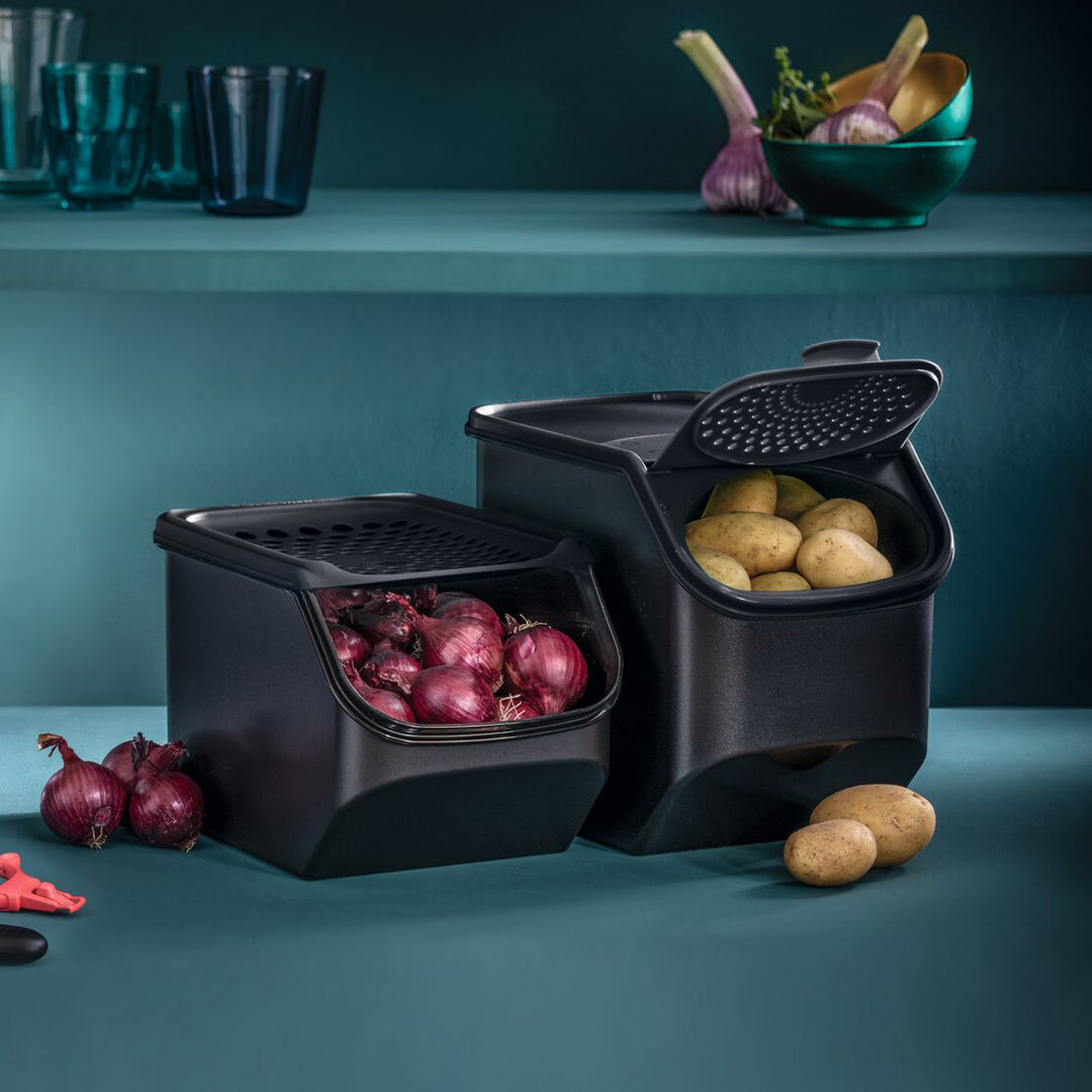 Tupperware OnionSmart Behälter mit roten Zwiebeln und Kartoffeln auf einer Küchenfläche.