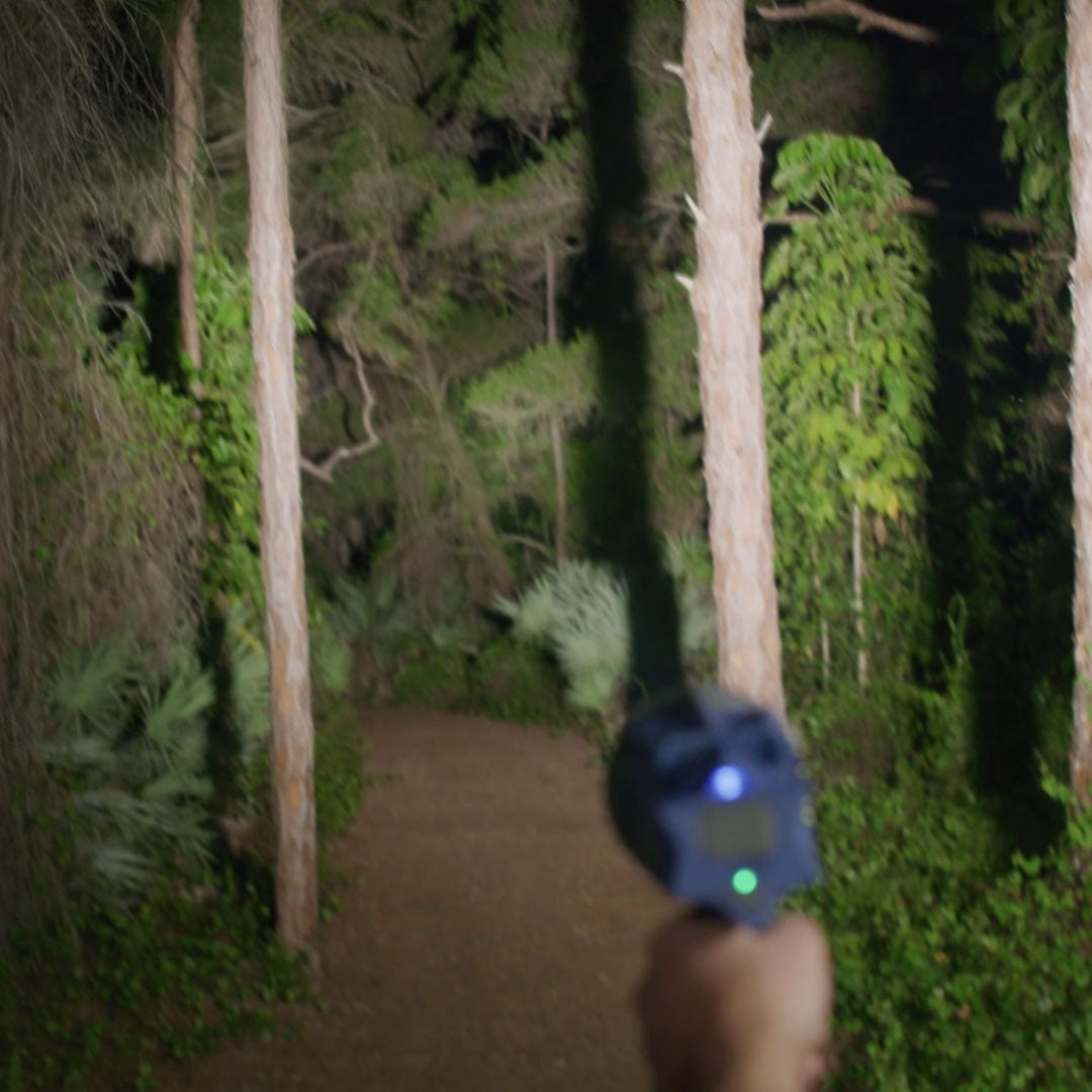 LED-Lampe leuchtet Waldweg bei Nacht aus
