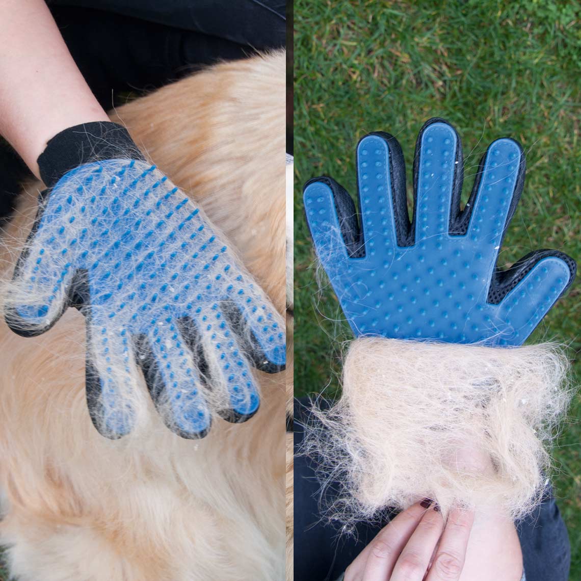 True Touch Handschuh mit vielen Tierhaaren nach dem Bürsten auf Fell und Rasen.