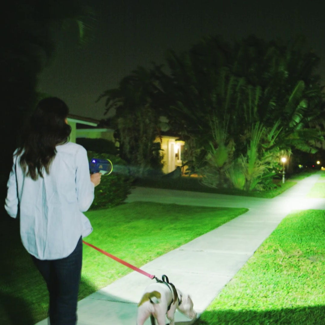 Frau geht nachts mit Hund spazieren und nutzt LED-Lampe