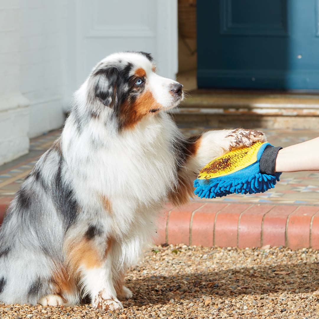 08_Webbilder_DoGlove_optimalFuerPfoten.jpg