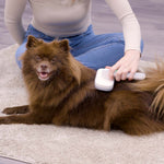 Ein Hund wird mit der PiddiPet IonBrush gebürstet – sanfte Fellpflege mit antistatischer Wirkung.