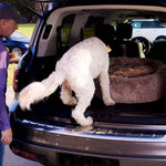 Hund steigt zu seinem PeacefulPooch Bett im Kofferraum – ideal für unterwegs und komfortables Reisen.