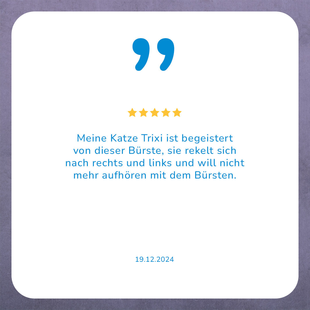 Bewertung mit 5 Sternen über eine Katzenbürste, inklusive Zitat und Datum.
