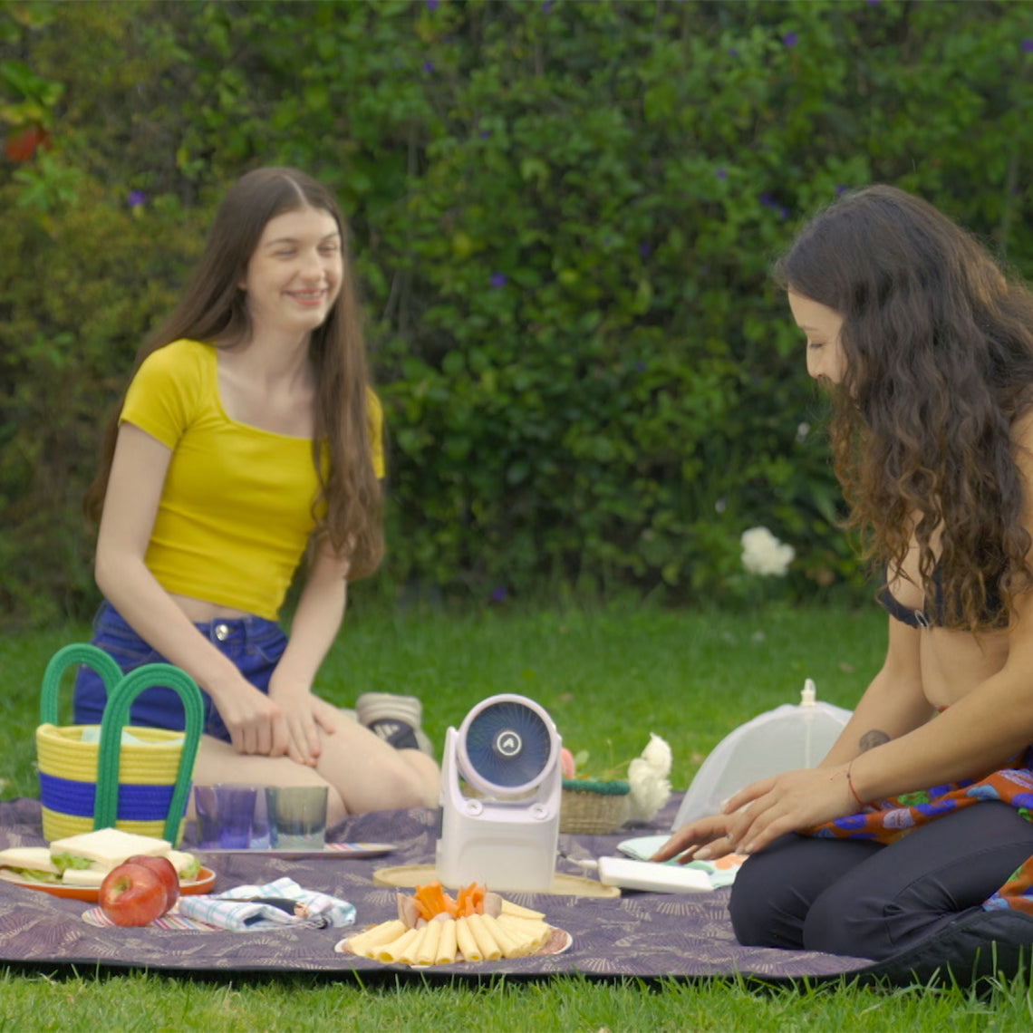 Picknick im Park mit dem IceJet einfach und portbel überall zu platzieren