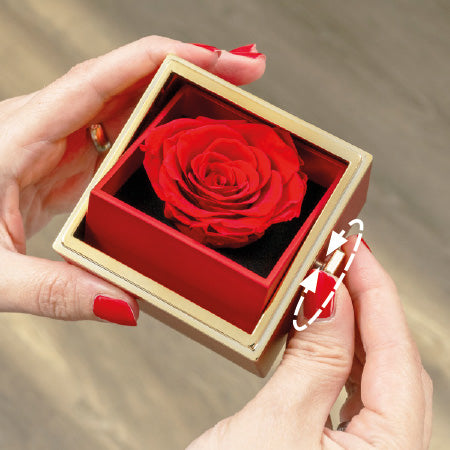 Schmuck- & Geschenkbox mit Drehfunktion