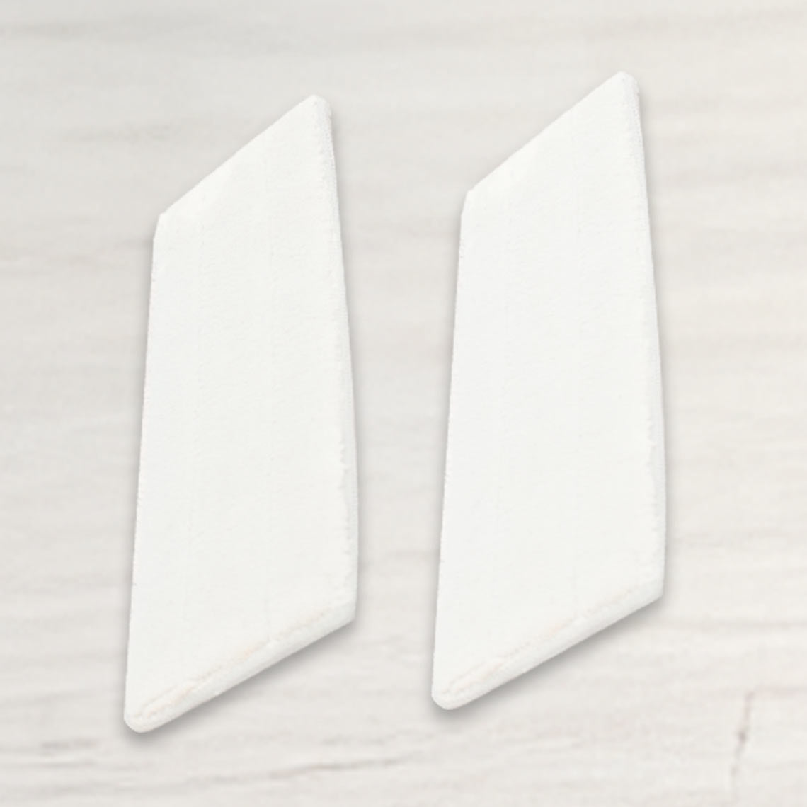 Livington HydroClean Ersatz-Pads 2er Set