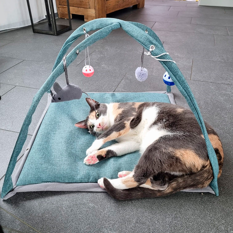 Spiel- & Kuschelmatte für Katzen