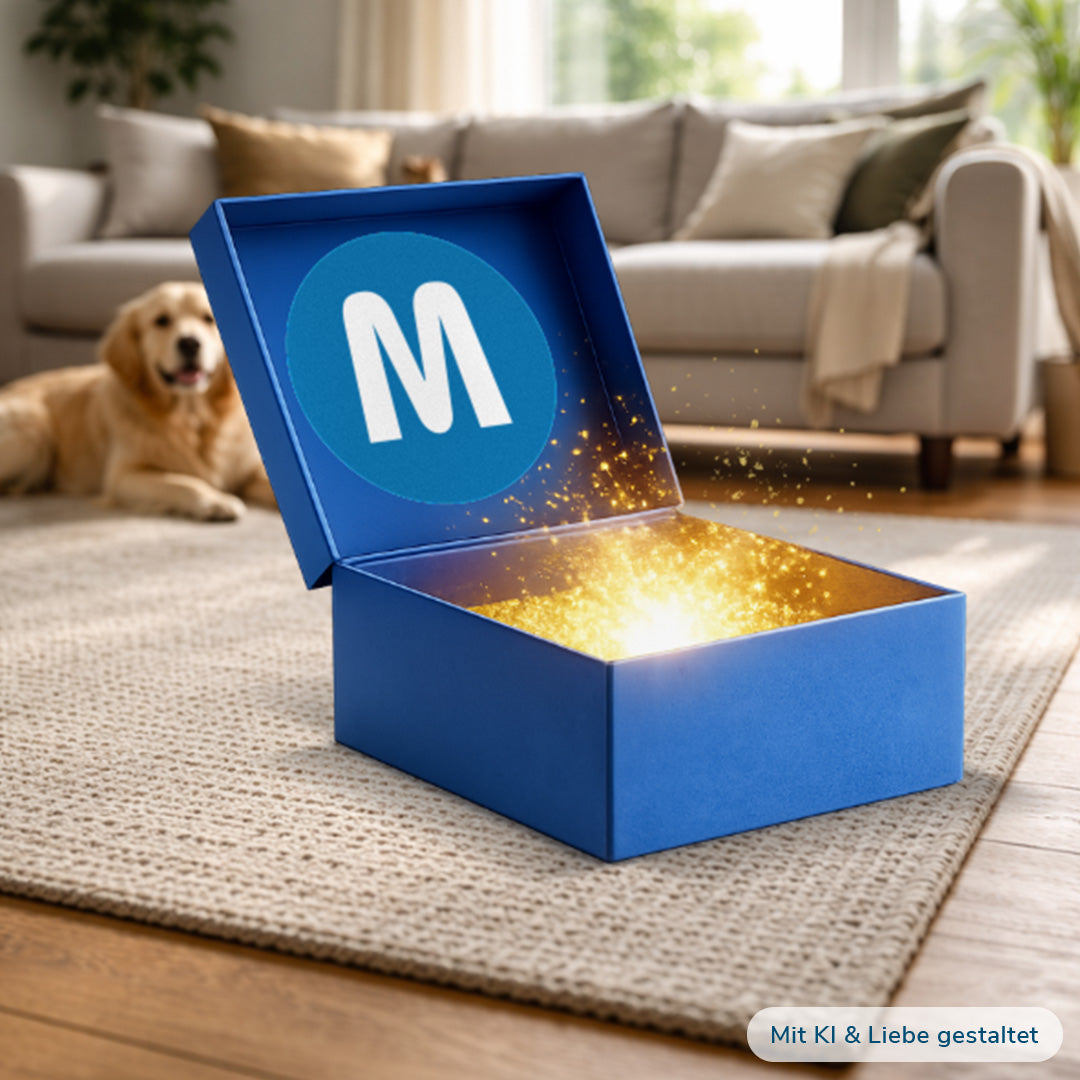 Geöffnete blaue Mediashop Haustier-Mystery-Box  aus der ein magisches goldenes Licht strahlt. Die Box steht auf einem Teppich im Wohnzimmer, im Hintergrund liegt ein Hund vor dem Sofa.