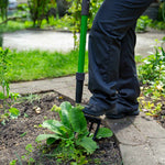 Mit Hammersmith Spatengabel Aufsätze eine Pflanze im garten ausheben