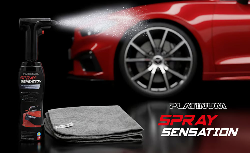 Platinum SpraySensation Autopflege mit Sprühflasche 1+1 GRATIS inkl. Akku Handstaubsauger