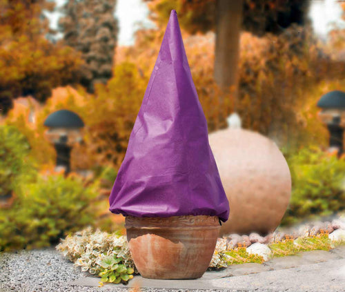 Eine kegelförmige, beerenfarbene Winterschutzhaube bedeckt eine Pflanze in einem Terrakottatopf.