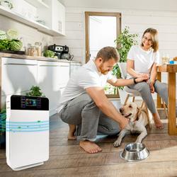 Livington AirPurifier Luftreiniger inkl. Fernbedienung