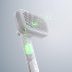 Bürsten-Technologie im Detail zu sehen