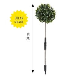 Solar-Buchsbaum 3er-Set