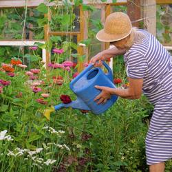 PlantBliz flüssiger All-in-One-Pflanzendünger
