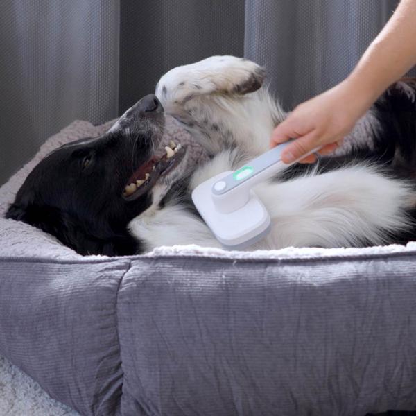PiddiPet IonBrush Ionen Tierhaarbürste 1+1 GRATIS