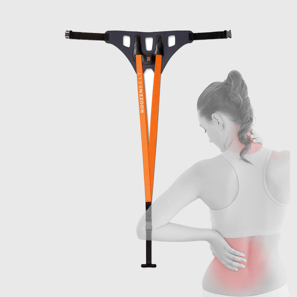 Roozenbelt Rückenstreckergurt Stark