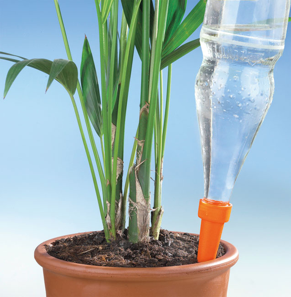 Pflanzen-Bewässerung 6-er Set