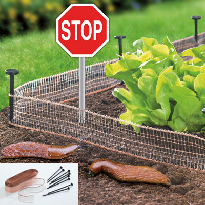 Schnecken-Stopp