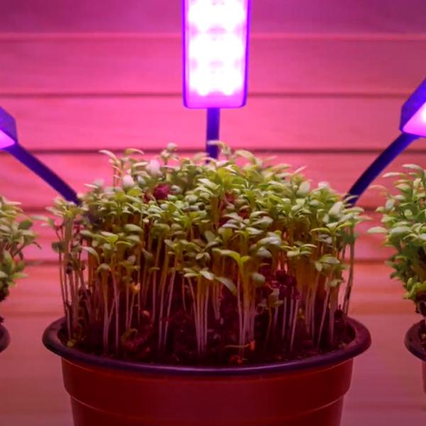 Bionic Grow LED-Indoor-Wachstumslampe für Pflanzen 