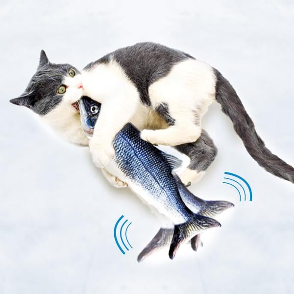 Flippity Fish Katzenspielzeug