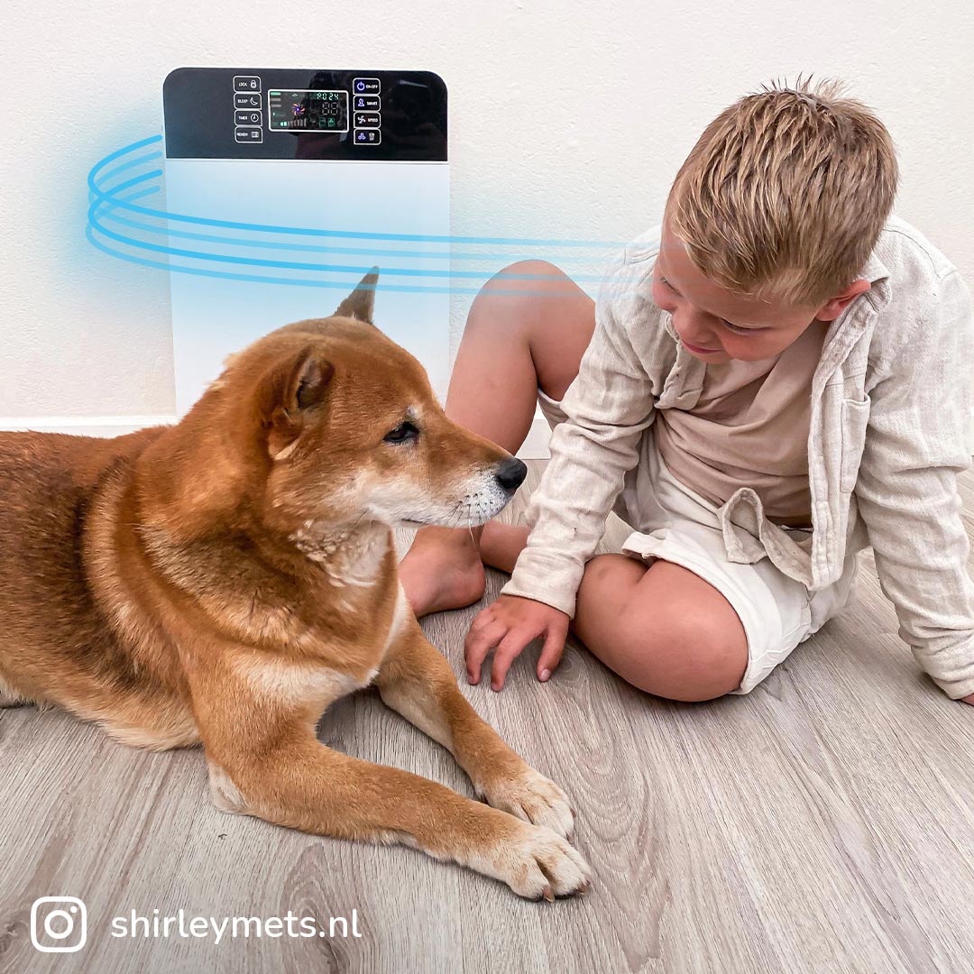 Livington AirPurifier Luftreiniger inkl. Fernbedienung MediaShop